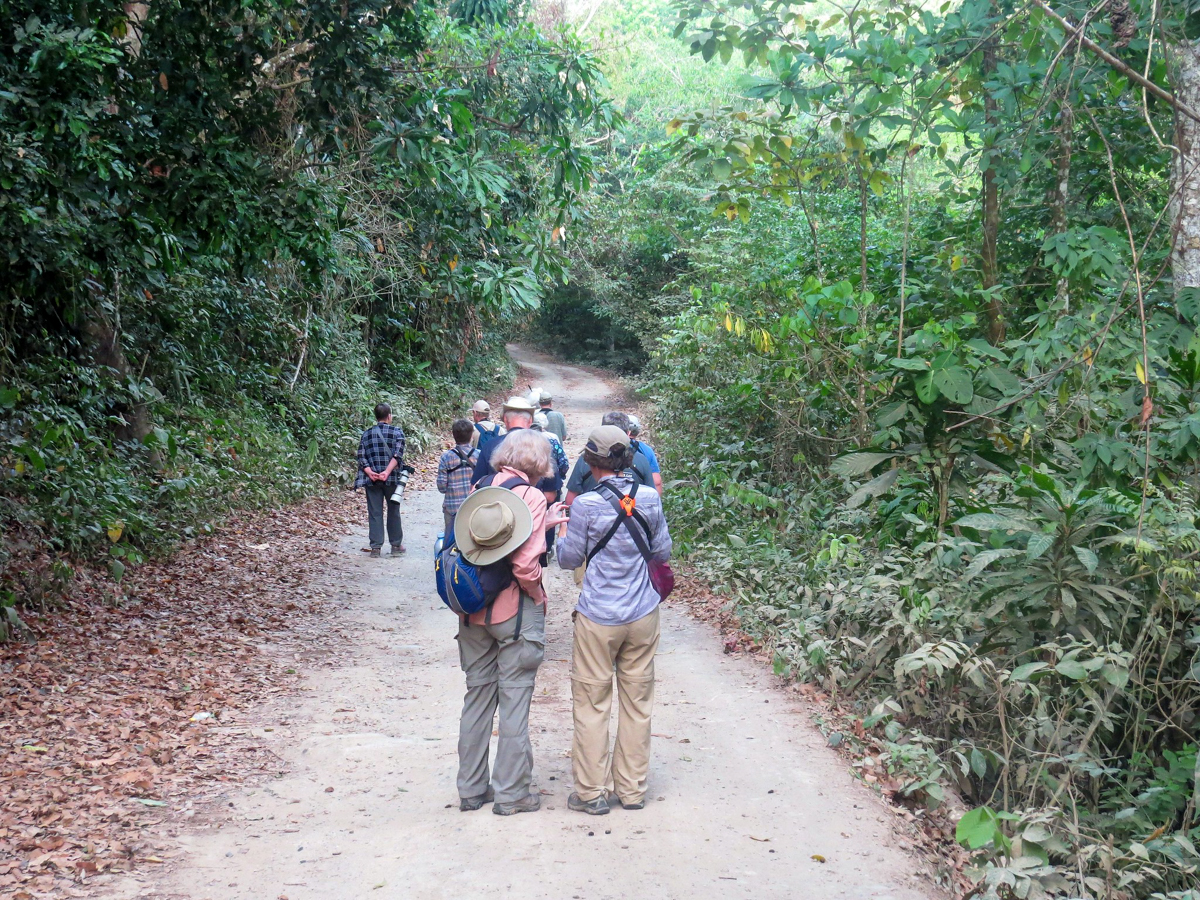 Rio Torti walk, Panama