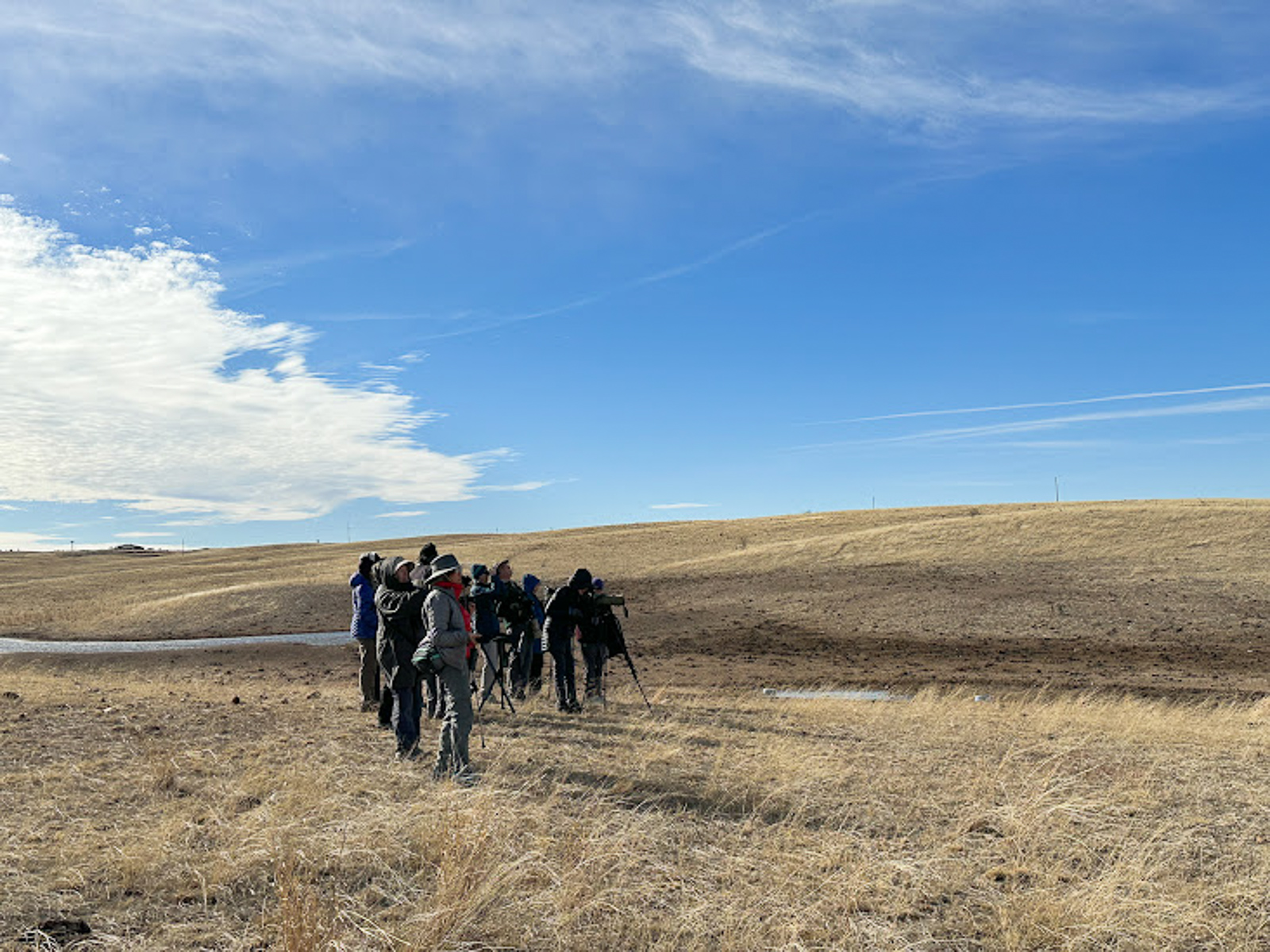 Grasslands near Sonoita