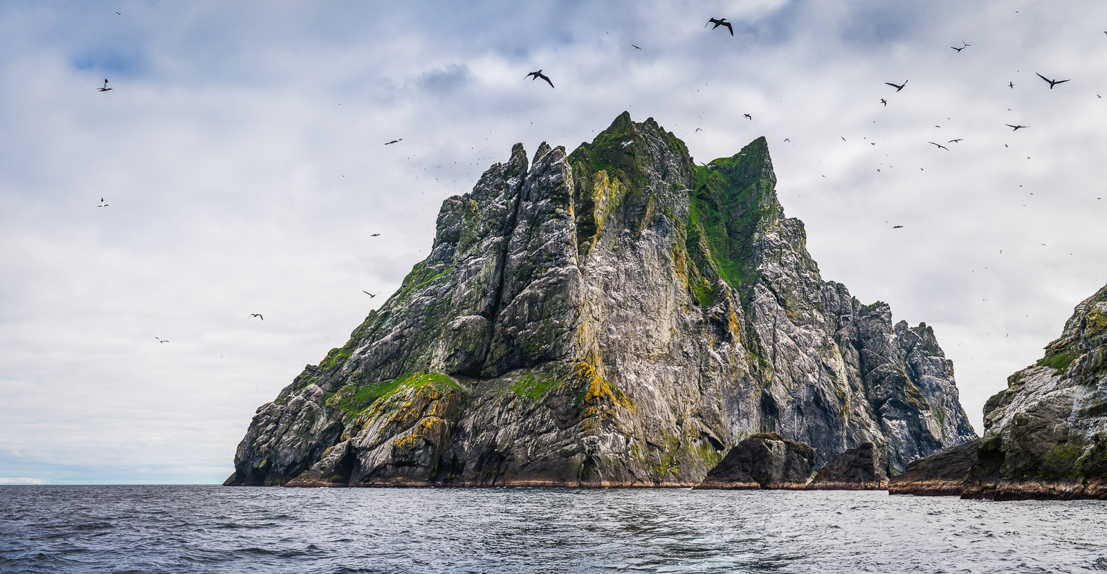 Seabirds flying over dramatic ocean island cliffs St Kilda, spotted while Birding in Scotland
