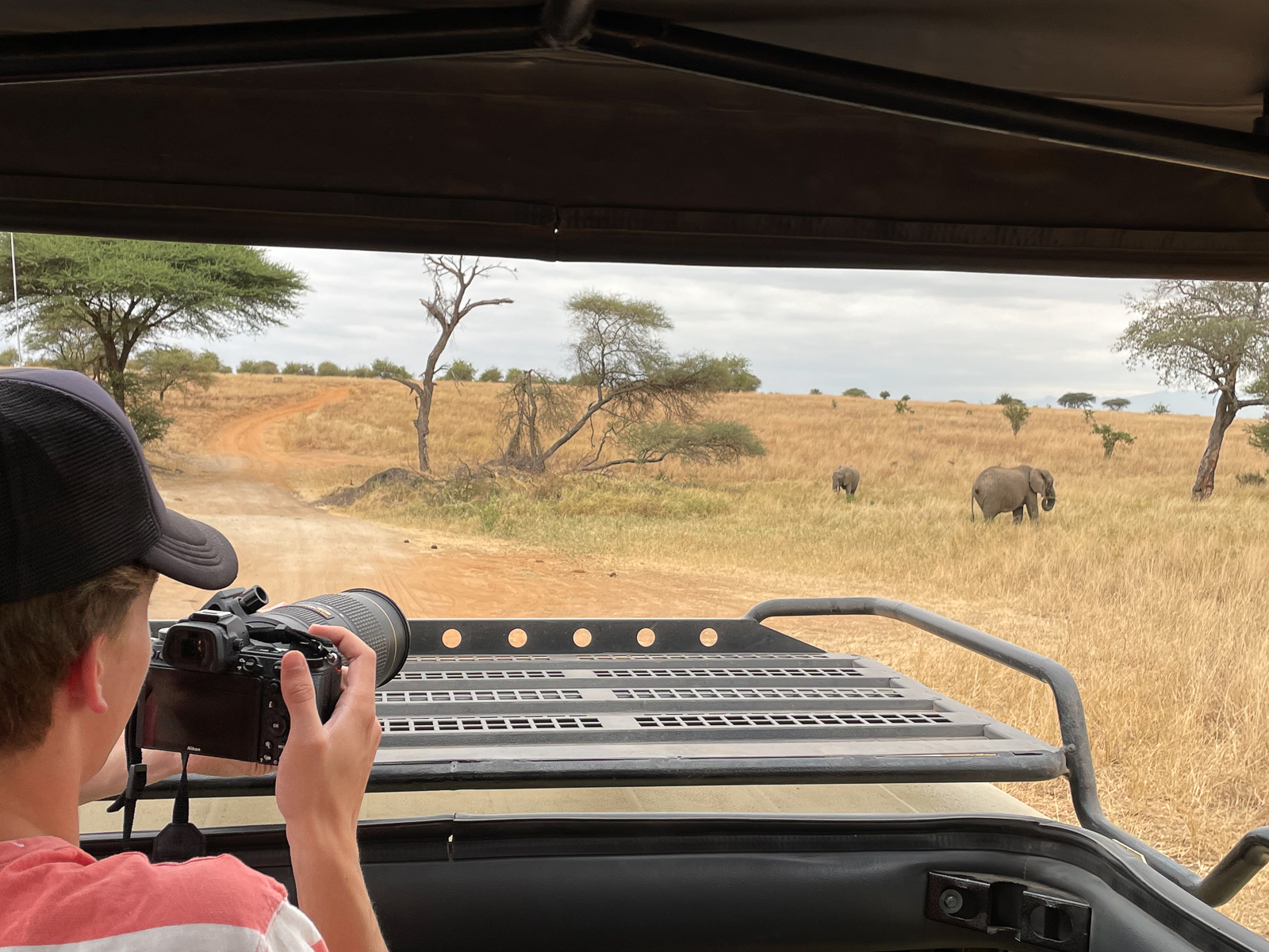 Taking a photo of an elephant during Eagle Eye's African Wildlife Safaris! 