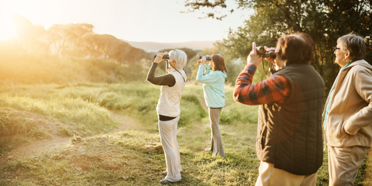 How to get started in birdwatching