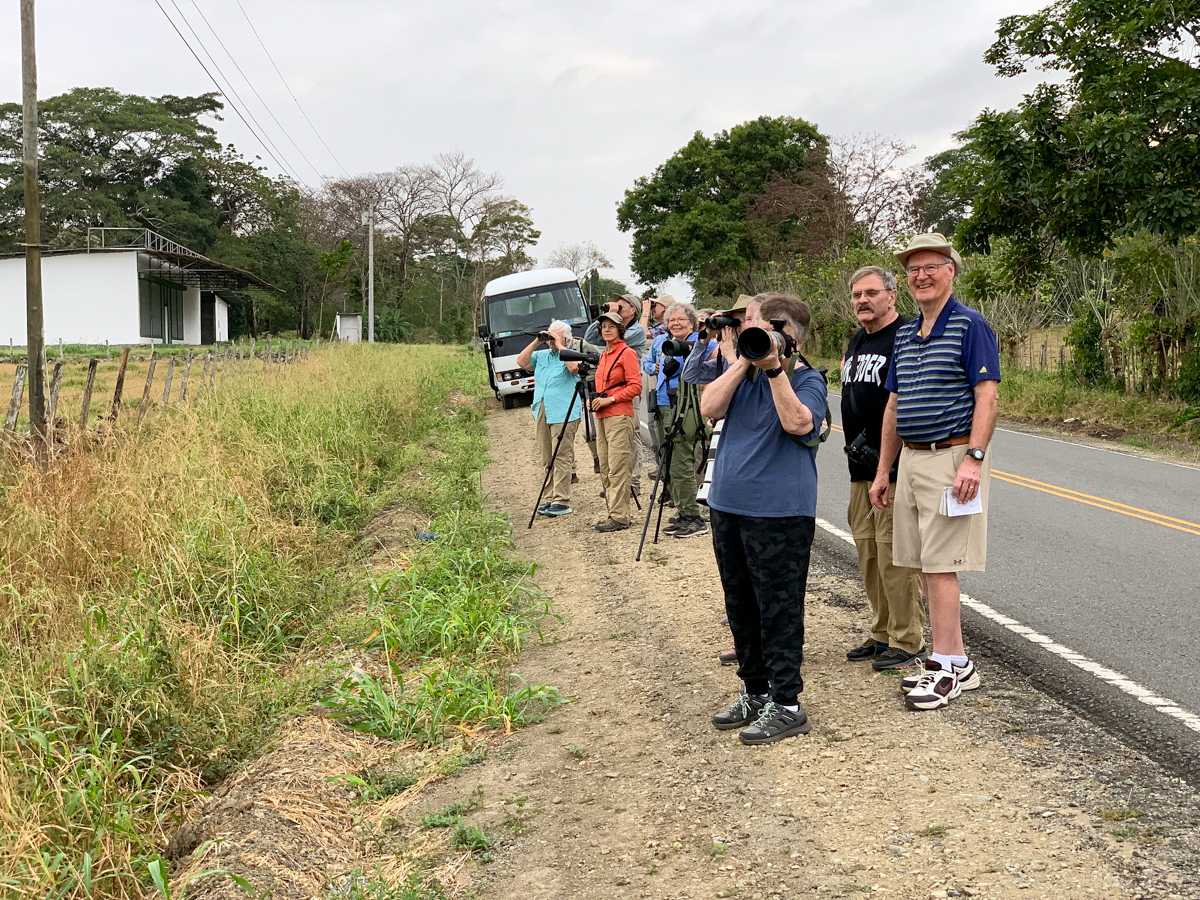 Watching Red-breasted Meadowlarks