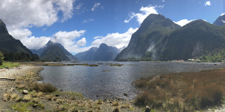 Top 10 places to go birding in New Zealand