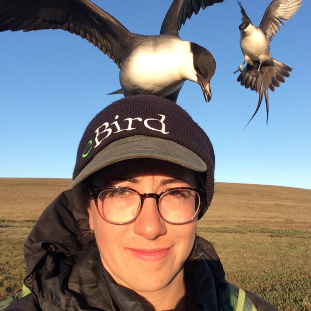 Andra Florea - Ornithologist & Birder