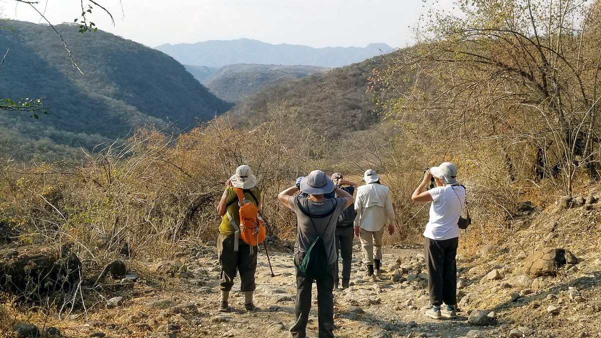 Birding at Rio Hormega