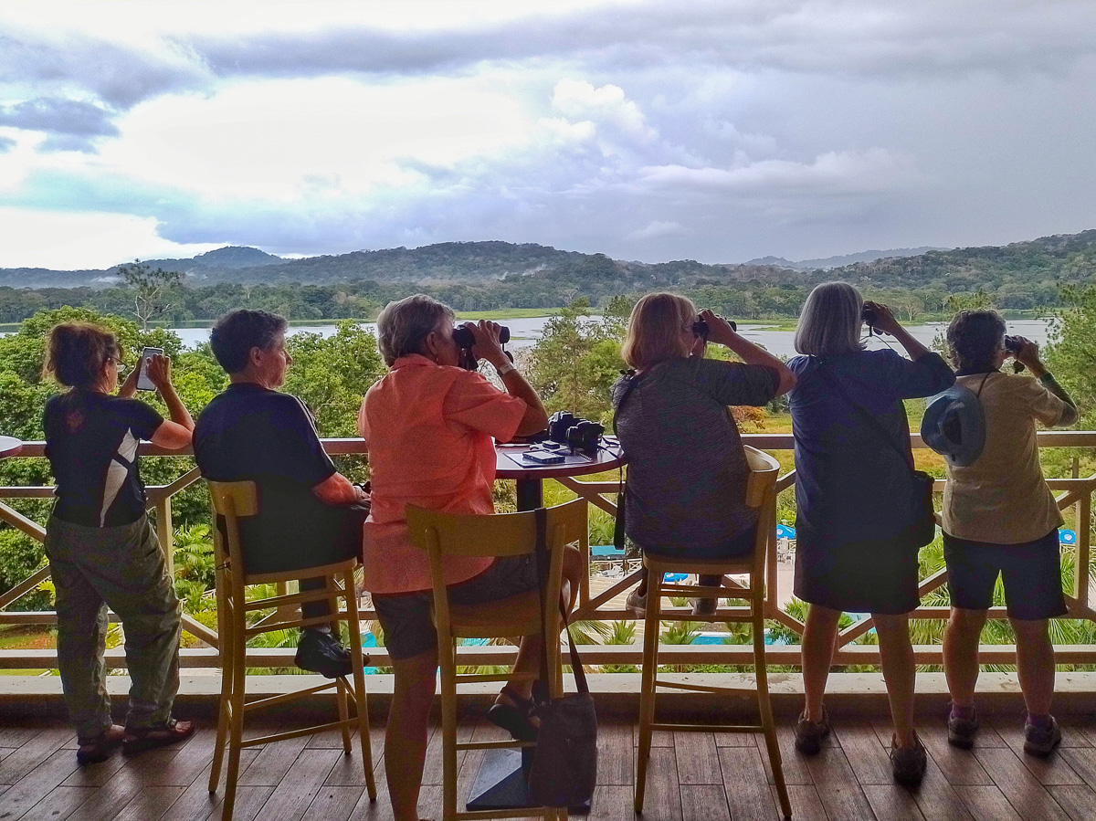 Birding at Gamboa Rainforest Resort