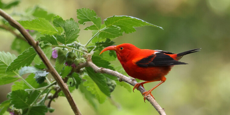 Hawaii 2023 Trip Report