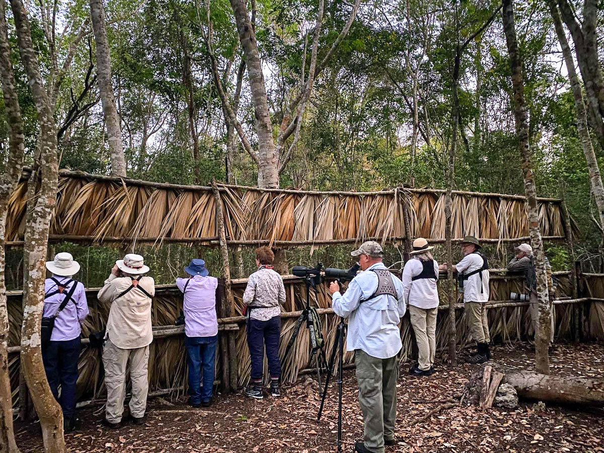 Birding Bermejas, Zapata