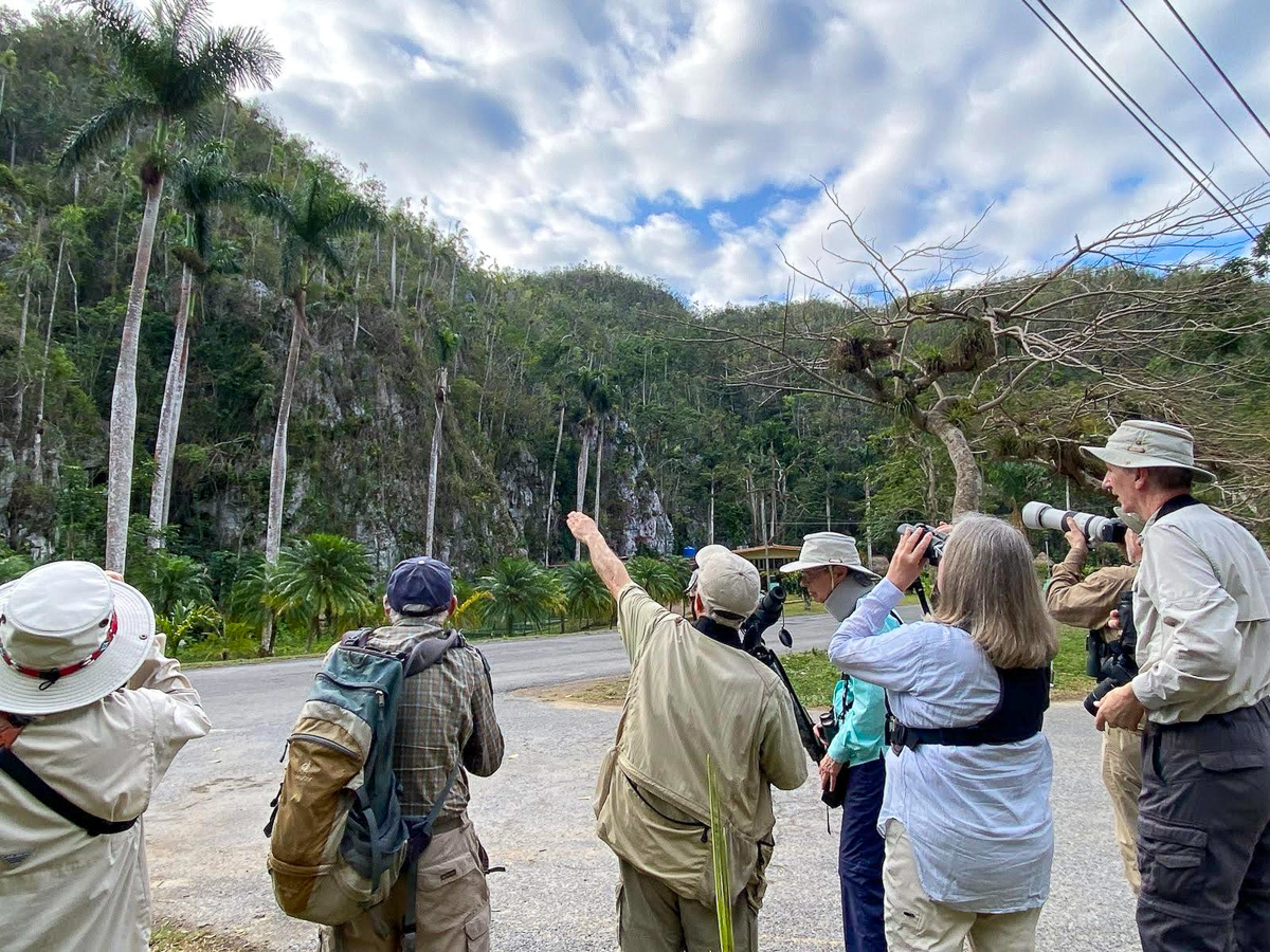 Looking at Cuban Solitaire