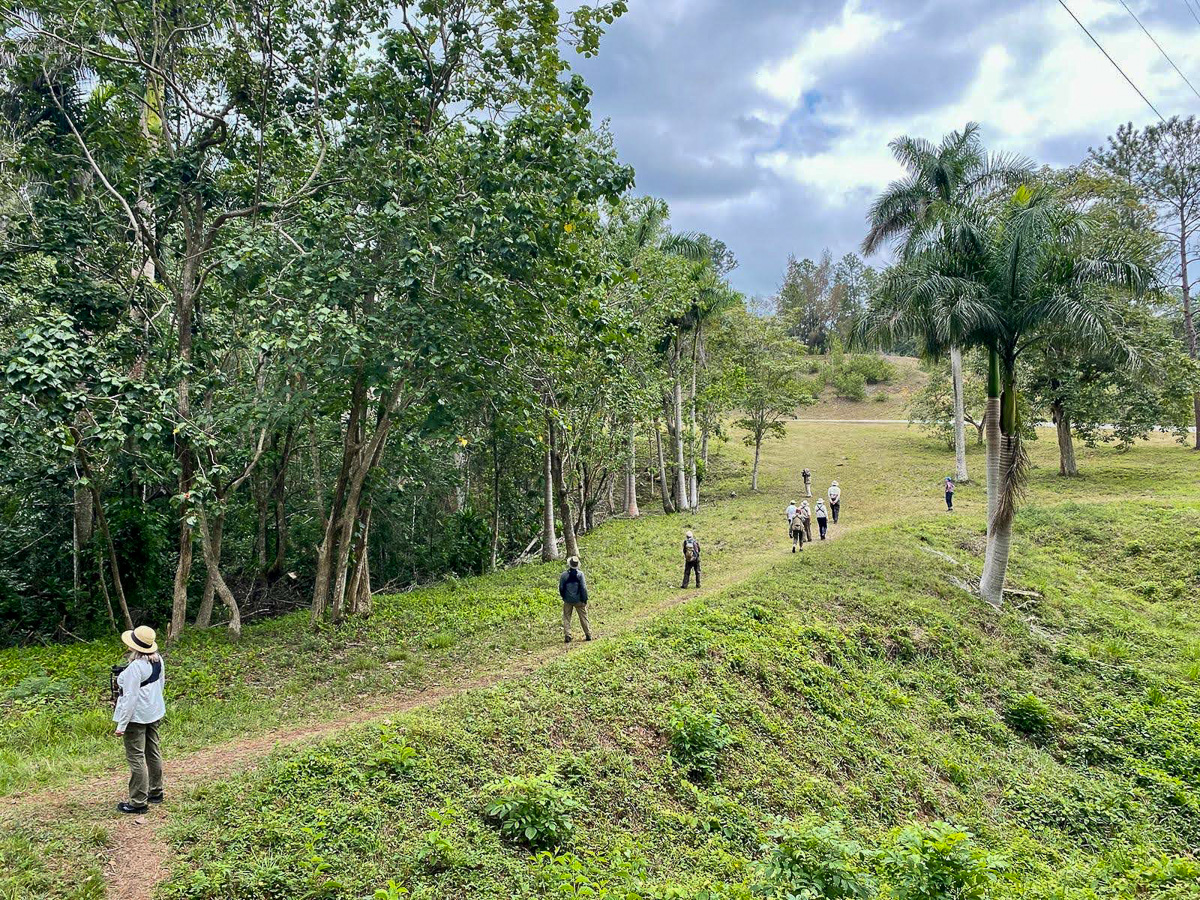 Birding in Las Terrazas Cuba