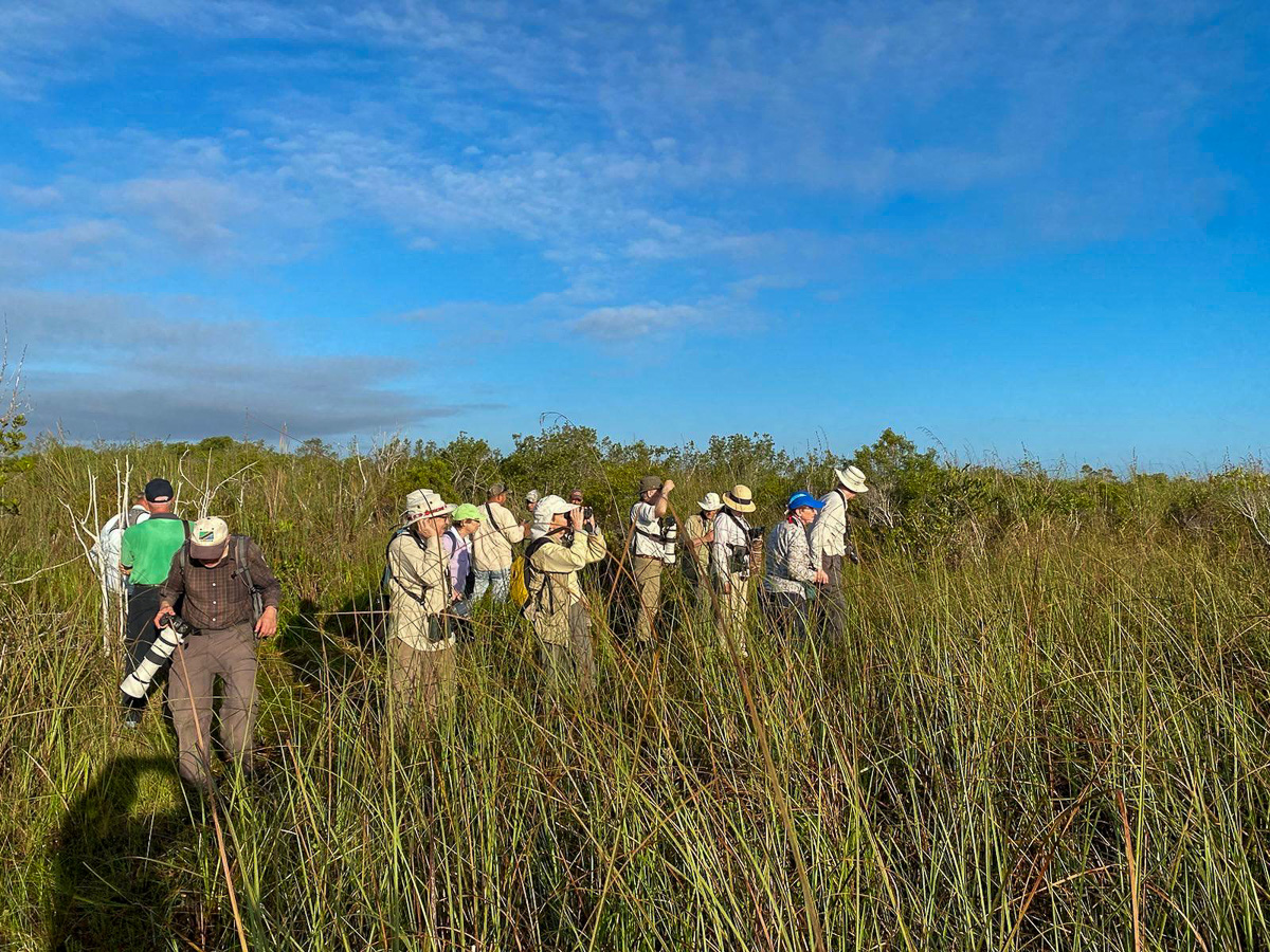 Birding at Zapata marsh
