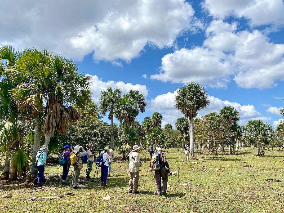 Birding Soplillar, Zapata