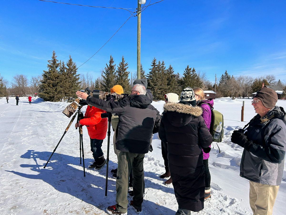 Birding group in Manitoba