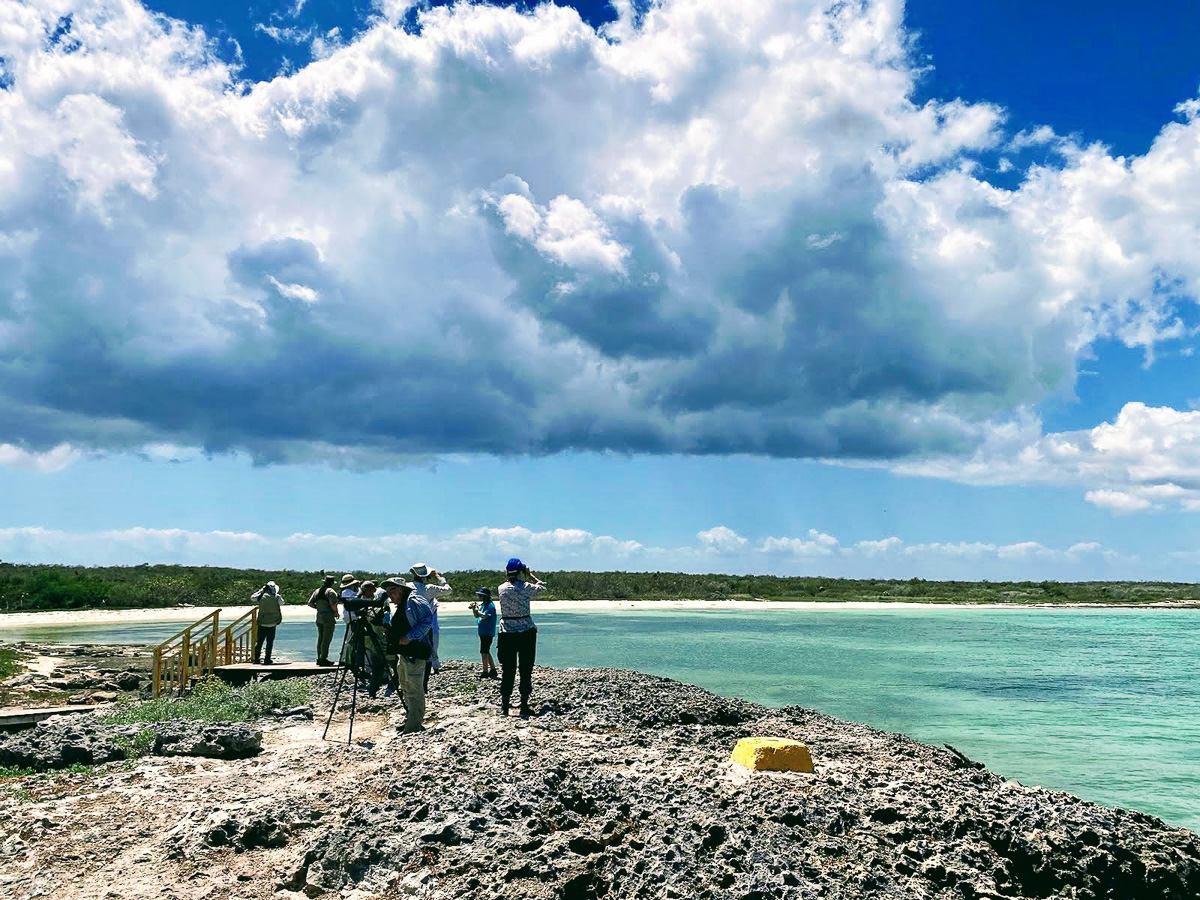 Birding at Cayo Coco