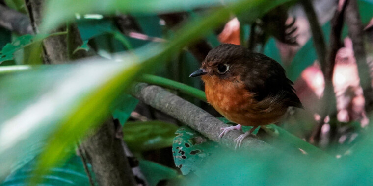 Colombia - Santa Marta 2023 Trip Report