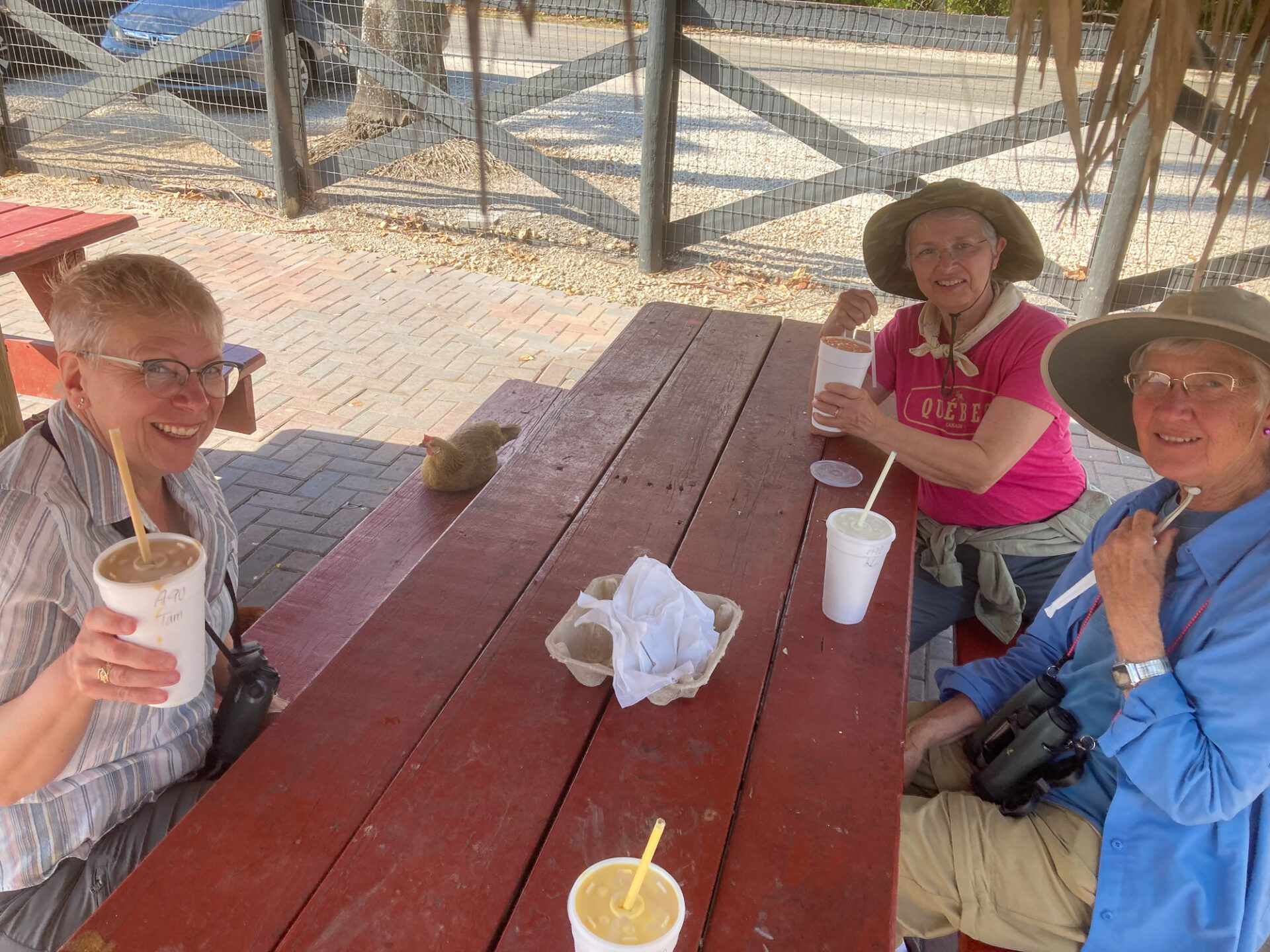 Enjoying tropical shakes with a curious hen