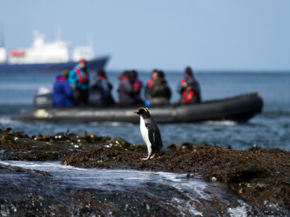 Birding Down Under Cruise