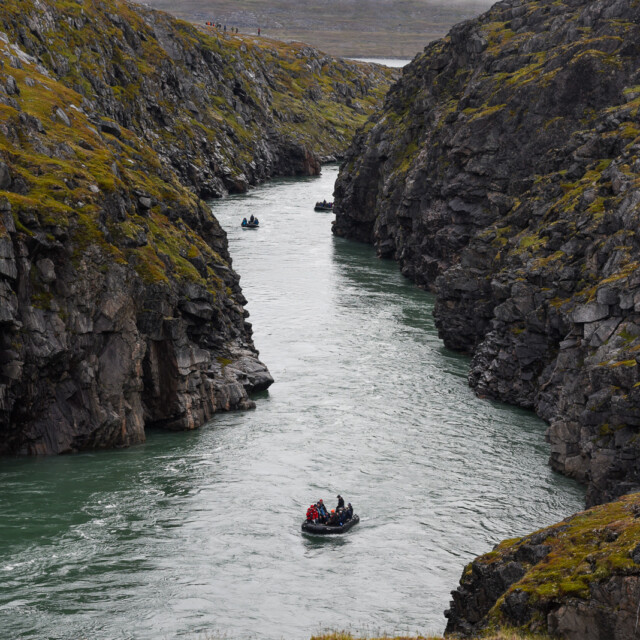 Zodiac cruise, Torngat National Park