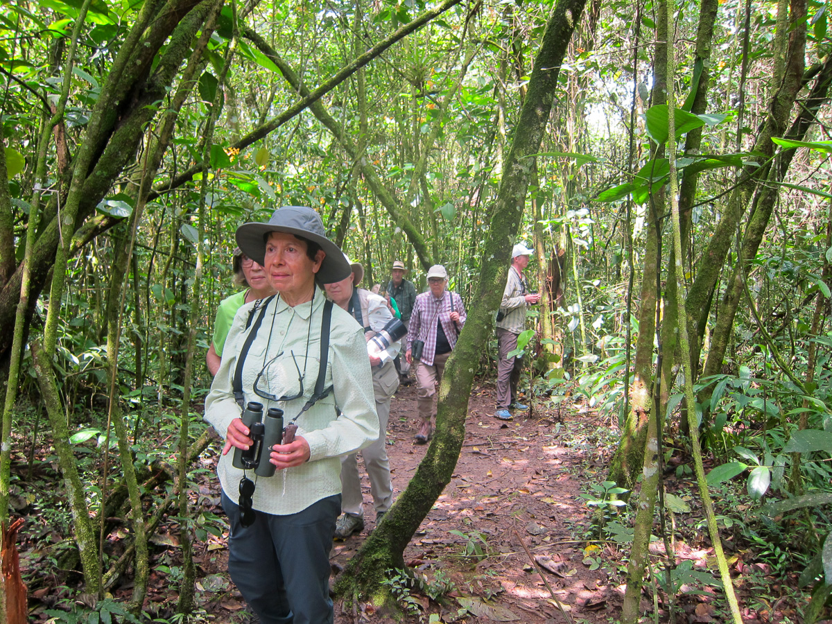 Birding on Tabacal trail