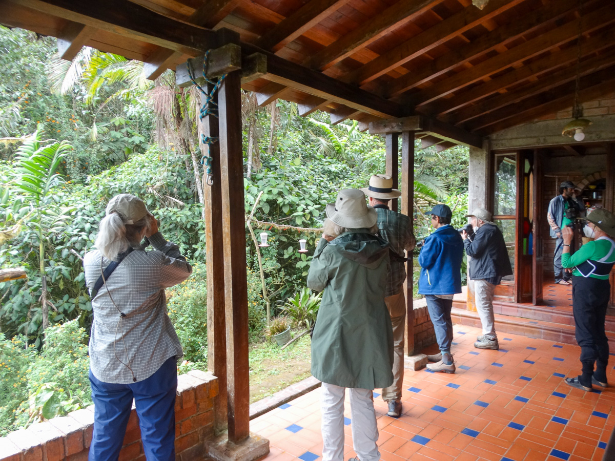 Hummingbird feeders at La Minga