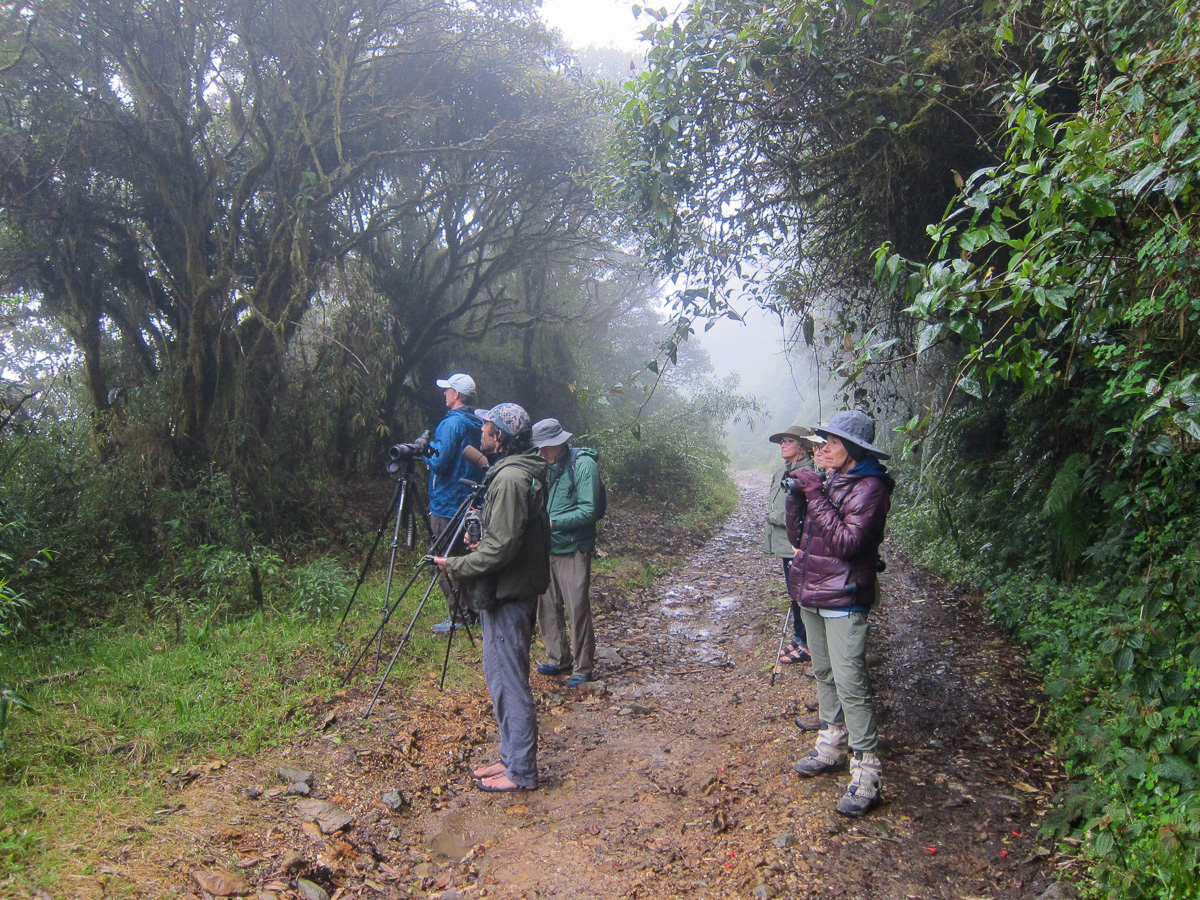 Birdwatching in Colombia