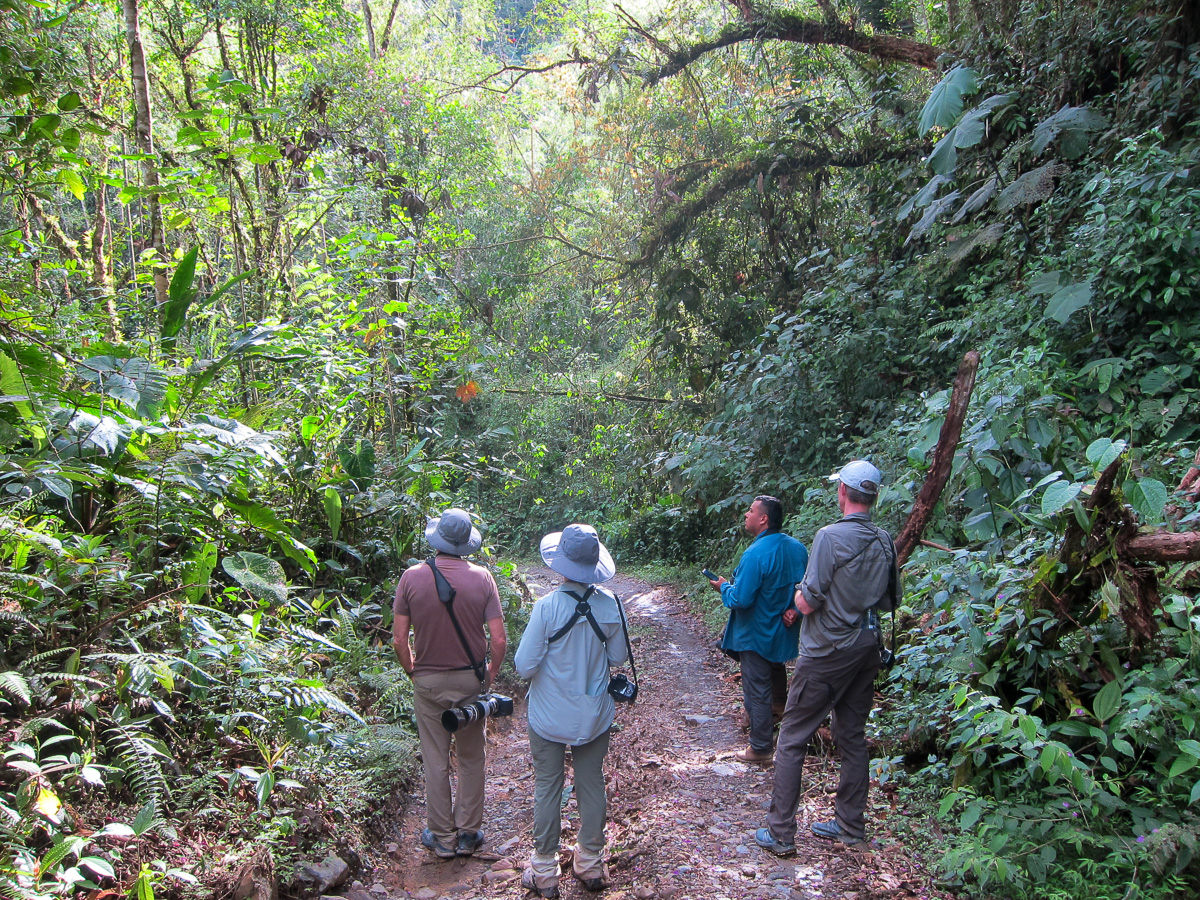 Birdwatching in Montezuma, Colombia