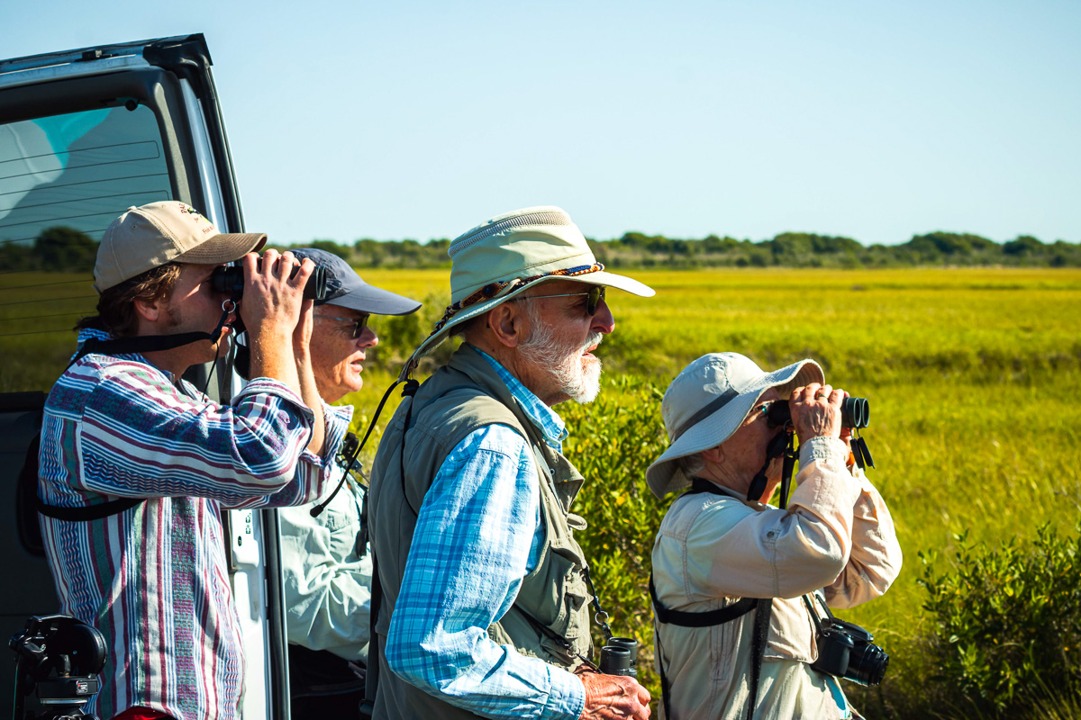 Birding at Bolivar flats