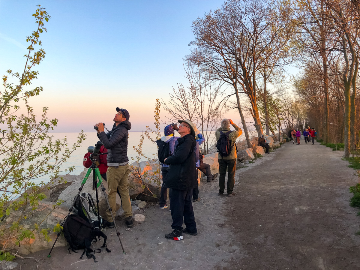 Birding at Pelee tip