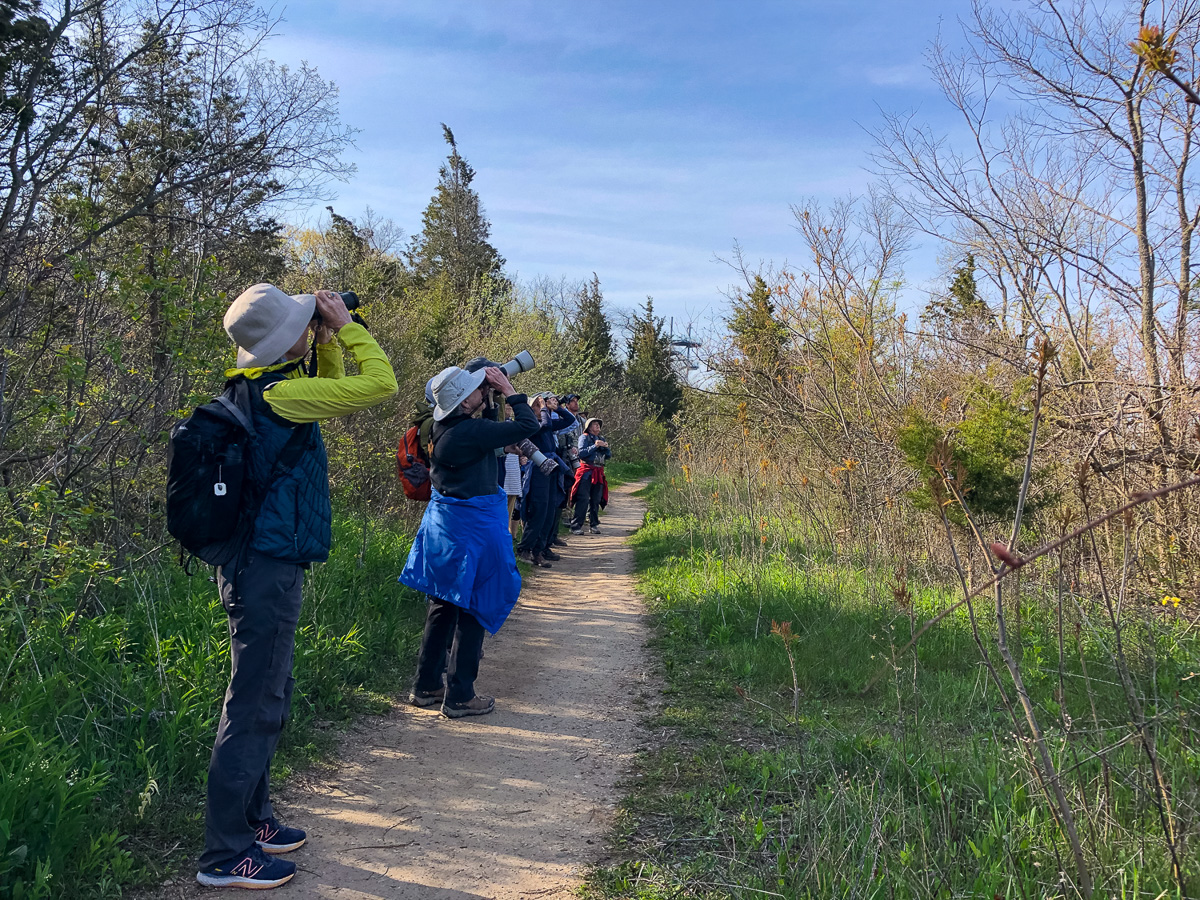 Birding at Rondeau, South Point Trail