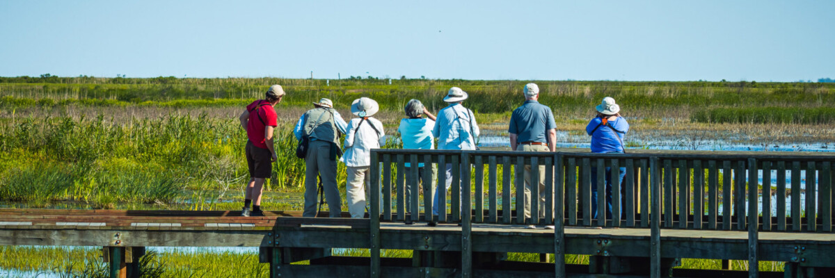 Texas Spring Migration & Hill Country Tour 2023