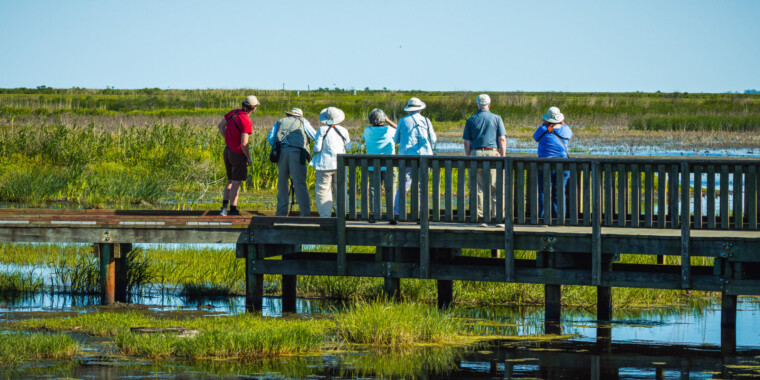 Texas Spring Migration & Hill Country Tour 2023