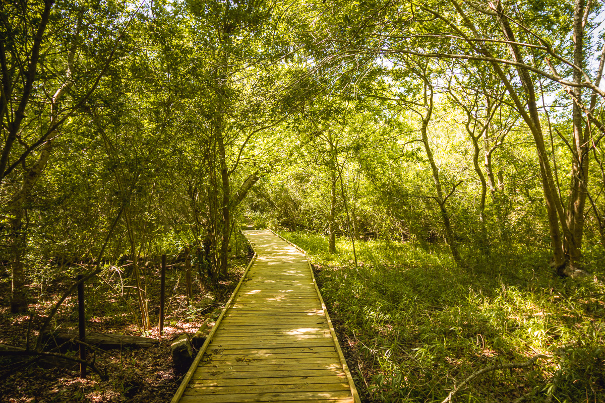 Smith Oaks Sanctuary