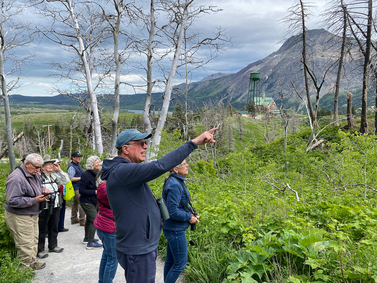 Birding in Waterton National Park