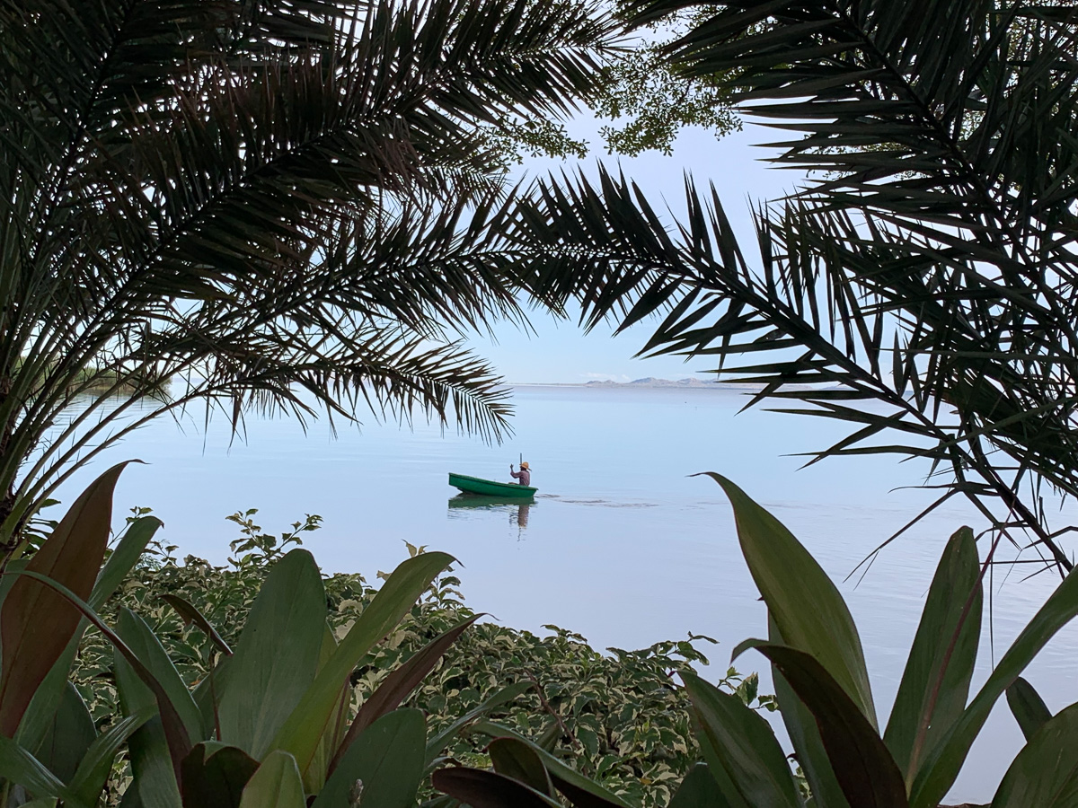 View from Speke Bay Lodge