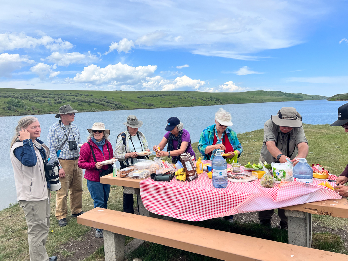 Picnic lunch