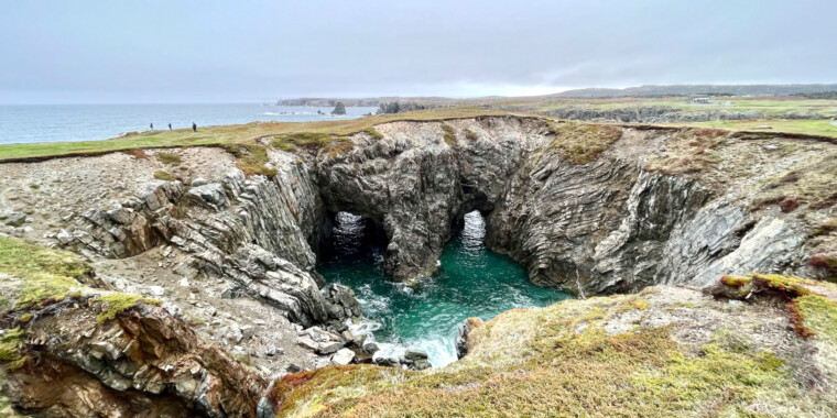 Newfoundland Birding with Canadian Geographic Trip Report 2023