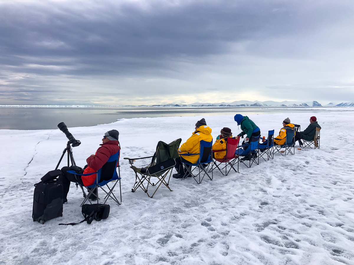 Watching for wildlife at the floe edge