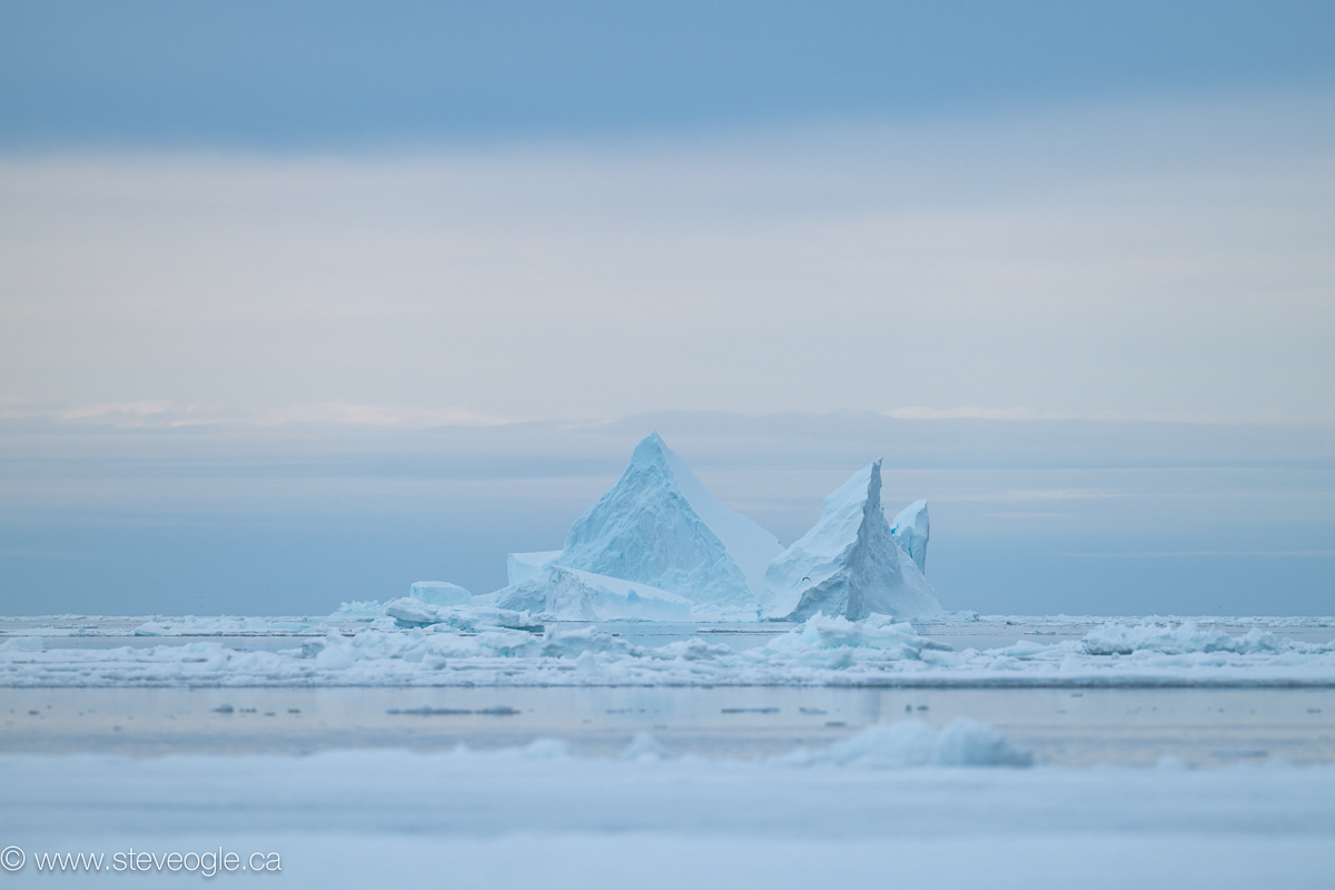 Iceberg at the floe edge