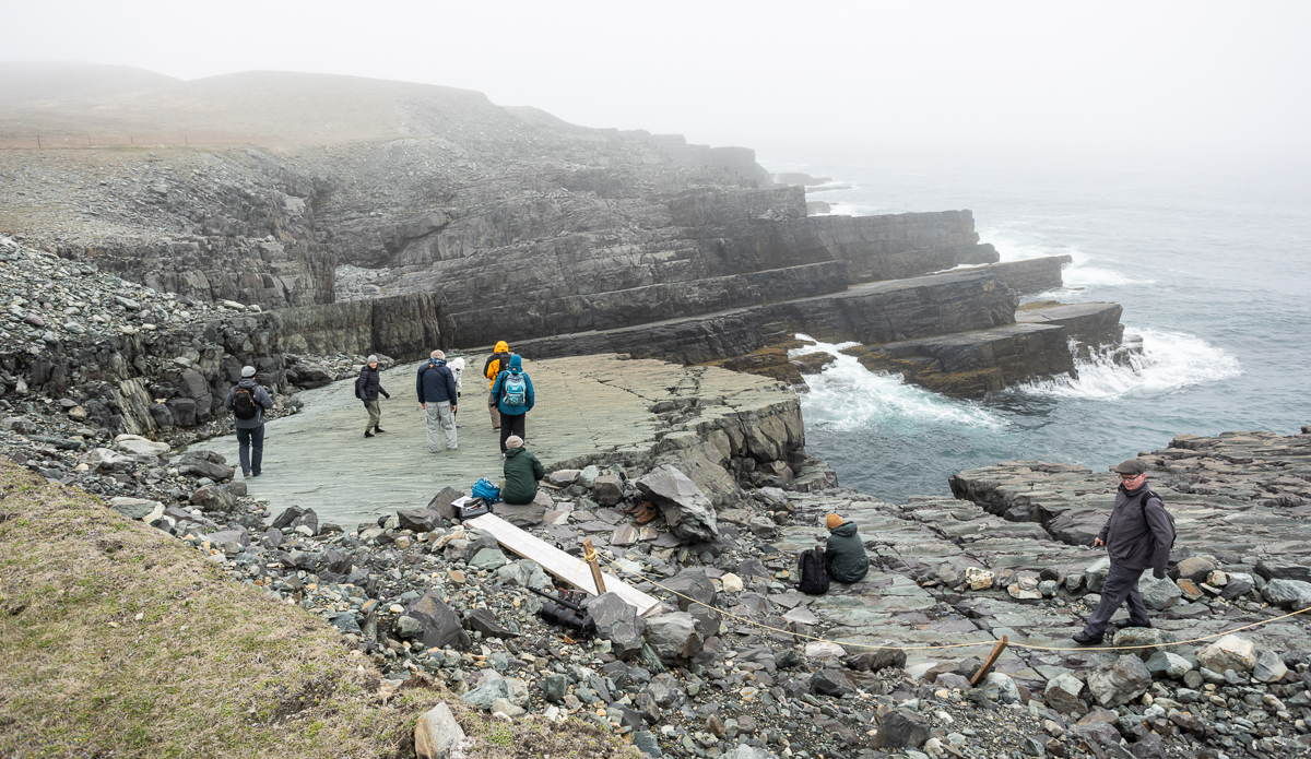 Fossils at Mistaken Point, Newfoundland