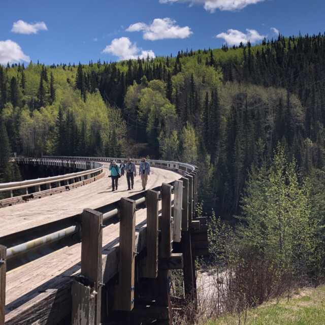 bird watchers, Kiskatinaw River