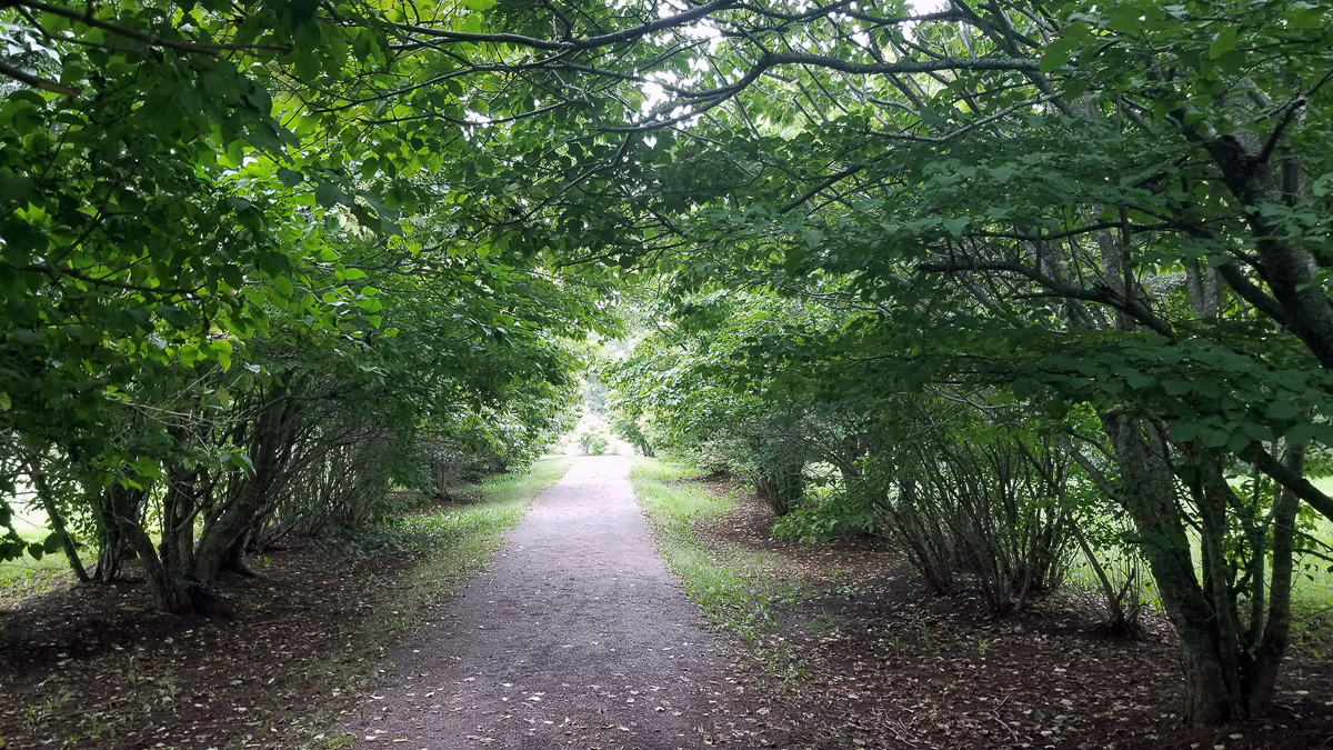 Bouctouche Arboretum