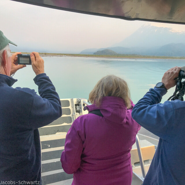 Birding Kenai Fjords