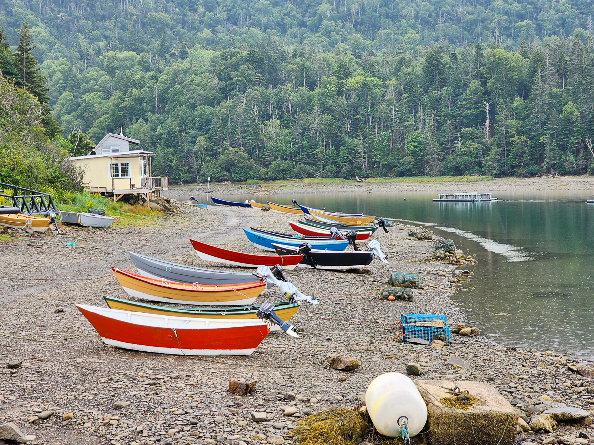 colourful boats in Dark Harbour