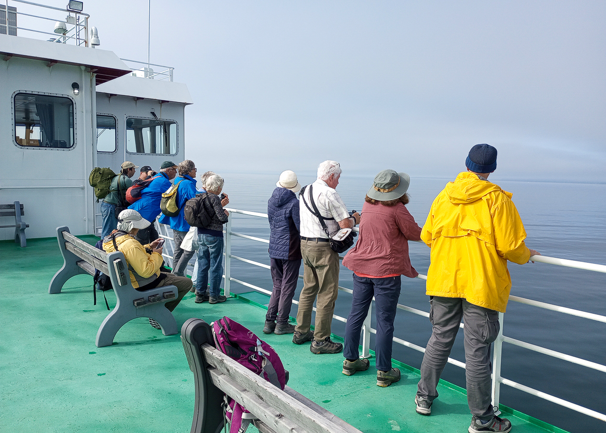 Birding from the Ferry