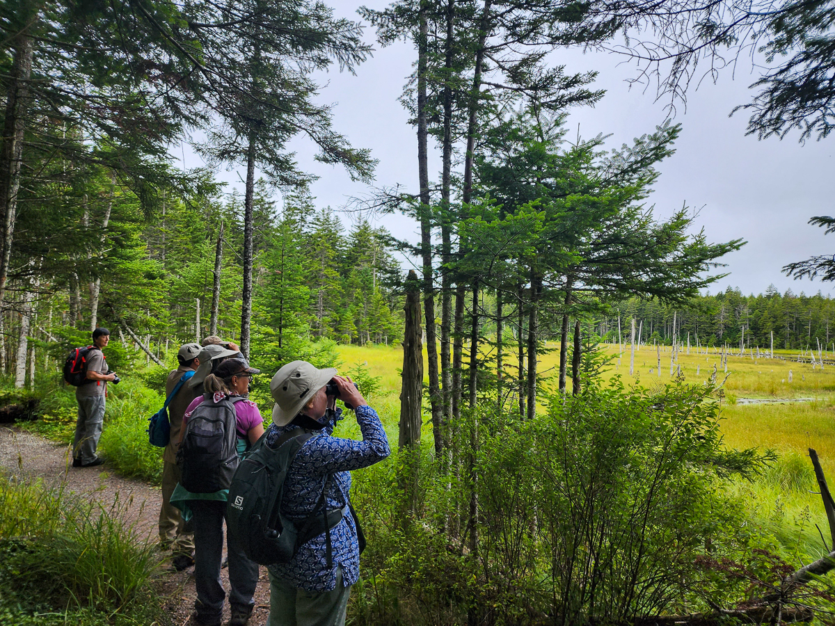 Fundy National Park