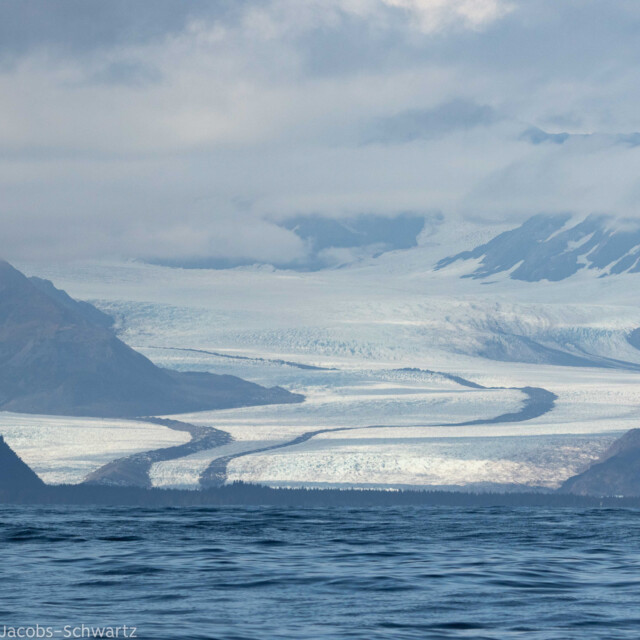 Glacier from Kenai Fjords NP
