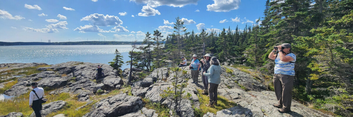 New Brunswick & Grand Manan with Canadian Geographic Trip Report 2023