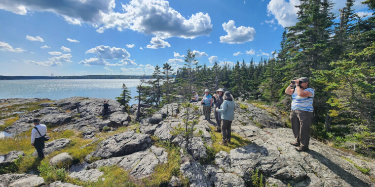 New Brunswick & Grand Manan with Canadian Geographic Trip Report 2023