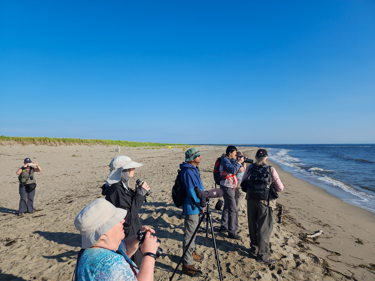 Kouchibouguac Beach
