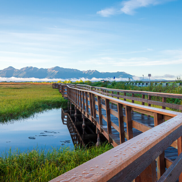 A wooden boardwalk in Potter Marsh Bird Sanctuary, Alaska.